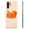 Huawei P30 Pro TPU Case - Pumpkins