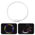 LED Luminous Dog Collar for Night Walking - USB Rechargeable