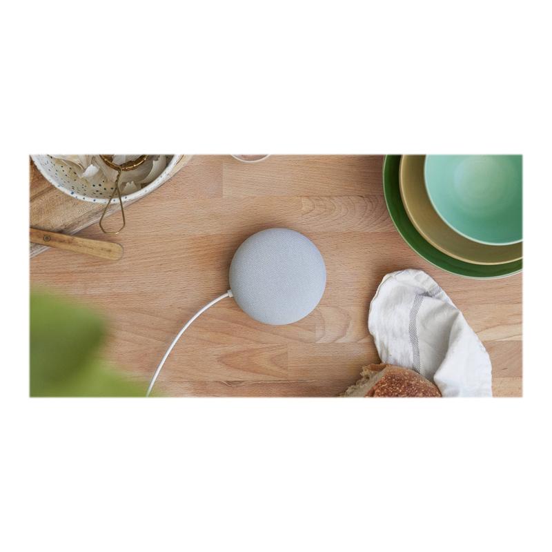 Google Nest Mini Smart Speaker